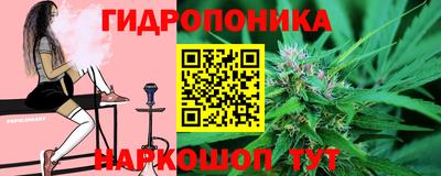 герыч Кингисепп