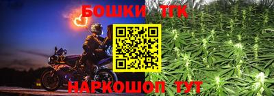 герыч Кингисепп