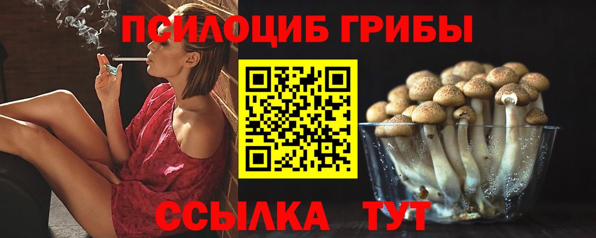 Кохма  сколько стоит  Вход с VPN  Галлюциногенные грибы ЛСД  Псилоцибиновые грибы Psilocybine cubensis 